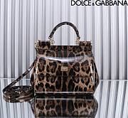 Dolce & Gabbana DG Small Leopard-print Patent Leather Top Handle Size 20 x 16 x 8 cm - 1