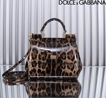 Dolce & Gabbana DG Small Leopard-print Patent Leather Top Handle Size 20 x 16 x 8 cm