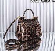 Dolce & Gabbana DG Small Leopard-print Patent Leather Top Handle Size 20 x 16 x 8 cm - 3