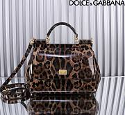Dolce & Gabbana DG Medium Leopard-print Patent Leather Top Handle Size 25 x 12 x 20 cm - 1