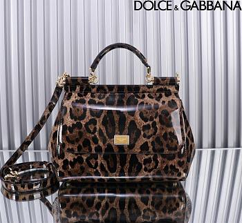 Dolce & Gabbana DG Medium Leopard-print Patent Leather Top Handle Size 25 x 12 x 20 cm