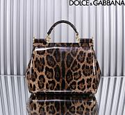 Dolce & Gabbana DG Medium Leopard-print Patent Leather Top Handle Size 25 x 12 x 20 cm - 3