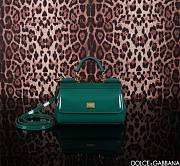 Dolce & Gabbana Sicily East West Green Size 18 x 11 x 6 cm - 1