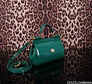 Dolce & Gabbana Sicily East West Green Size 18 x 11 x 6 cm - 2
