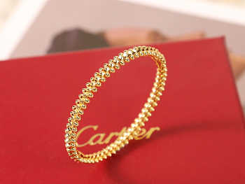 Cartier Clash de Cartier Bracelet Small Gold/Rose Gold/Silver