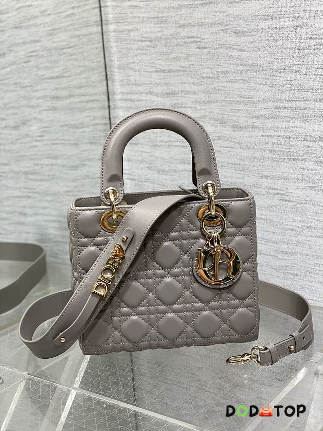 Lady Dior Medium Bag In Gray Leather Size 20 x 8 x 17 cm - 1