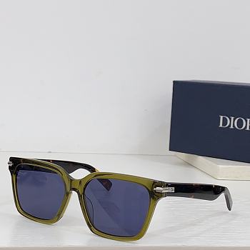 Dior Glasses 11