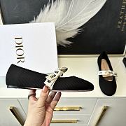 Dior Mary Jane Ballet Shoes - 4