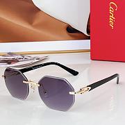 Cartier Glasses 06 - 3