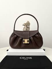 Celine Medium Polly Bag in Supple Calfskin Brown Size 33 × 19 × 9 cm - 1