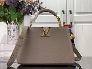 Louis Vuitton Capucines Small Handbag M48865 Grey Size 27 x 18 x 9 cm - 1