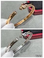 Cartier Bracelet 10 - 4