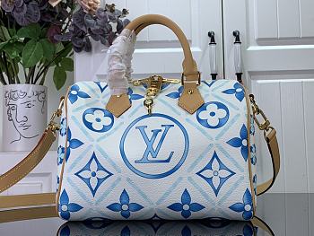 Louis Vuitton Blue Pillow Bag Speedy M11264 Size 25 x 19 x 15 cm