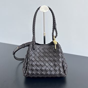 Bottega Veneta Andiamo Paravhute Handbag Dark Brown Size 21 x 17 x 16.5 cm