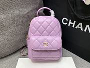 Chanel Mini Sheepskin Small Backpack Pink Size 18 × 13 × 9 cm - 1