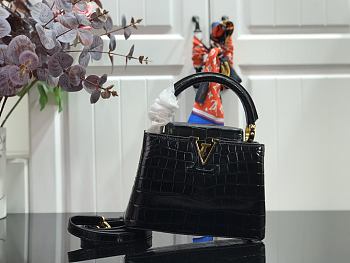Louis Vuitton Capucines Mini Handbag Crocodile M94227 Size 21 x 14 x 8 cm