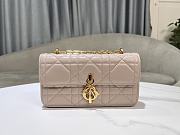 Dior Chain Bag Rouge Beige Size 20 cm - 1