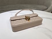 Dior Chain Bag Rouge Beige Size 20 cm - 6