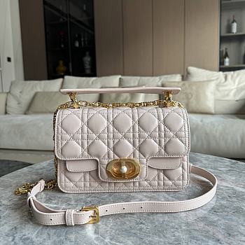 Dior Small D Jolie Handbag Size 22 x 14 x 8 cm
