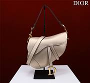 Dior Saddle Bag Size 19.5 x 16 x 6.5 cm - 3