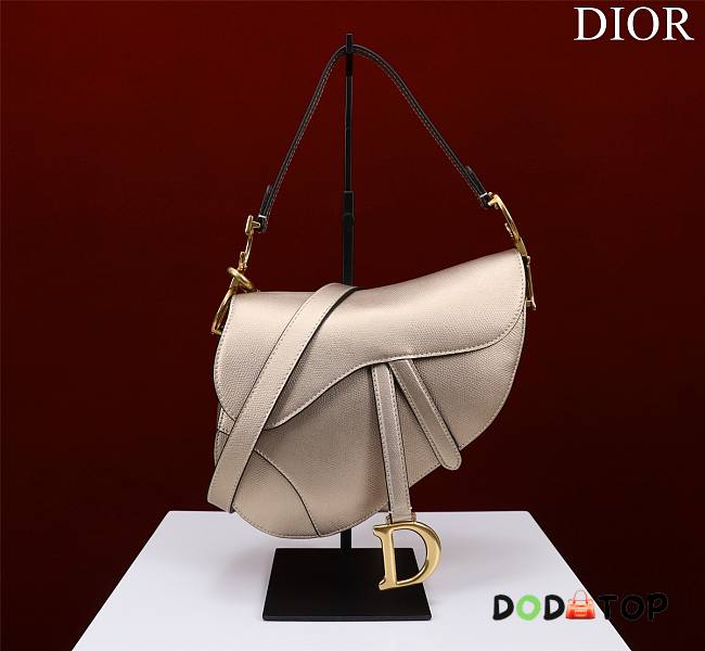 Dior Saddle Bag Size 19.5 x 16 x 6.5 cm - 1