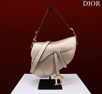 Dior Saddle Bag Size 19.5 x 16 x 6.5 cm