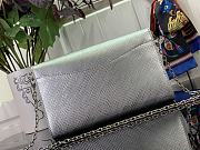 Louis Vuitton M23358 LV Night Pochette Louise Silver Size 22 x 14 x 5 cm - 4