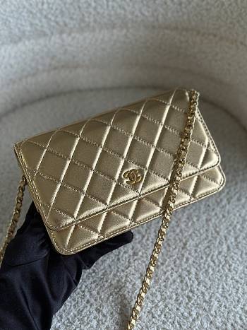 Chanel WOC Gold Bag Size 19.5 x 12 x 3.5 cm