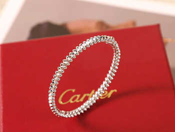 Cartier Clash de Cartier Bracelet Small Silver/Gold/Rose Gold