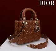 Dior My Lady Dior ABC Brown 01 Size 20 x 17 x 9 cm - 4