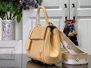 Louis Vuitton Cluny Mini Bag Apricot Size 20 x 16 x 7.5 cm - 4