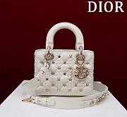 Dior Lady Dior Four-grid Dragonfly White Size 20 x 16 x 8 cm - 1