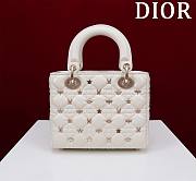 Dior Lady Dior Four-grid Dragonfly White Size 20 x 16 x 8 cm - 4