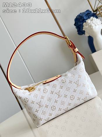 Louis Vuitton Hills Pochette Bag M12433 Size 18.5 x 11 x 6.5 cm