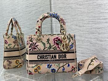 Dior Pink And Gray Sauvage Rue Print Embroidery Size 24 cm