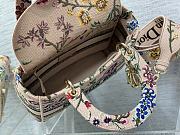 Dior Pink And Gray Sauvage Rue Print Embroidery Size 24 cm - 5