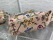 Dior Pink And Gray Sauvage Rue Print Embroidery Size 24 cm - 4