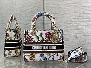 Dior Lady Sauvage Rue Print Embroidery Size 24 cm - 1