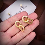 Dior Earrings 12 - 4