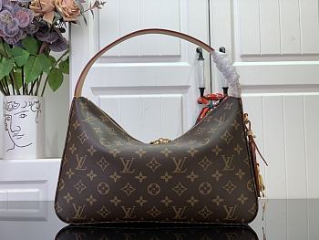 Louis Vuitton Slouchy Small M11952 Monogram Bag Size 33 × 22 × 9 cm