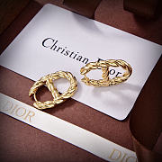 Dior Earrings 13 - 1