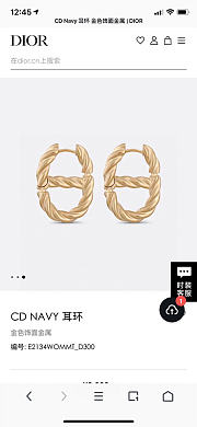 Dior Earrings 13 - 4