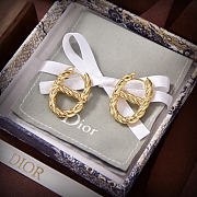 Dior Earrings 13 - 3