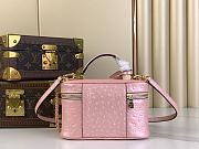 Louis Vuitton Vanity Chain Pouch Pink Ostrich Size 19 x 11.5 x 6.5 cm - 3