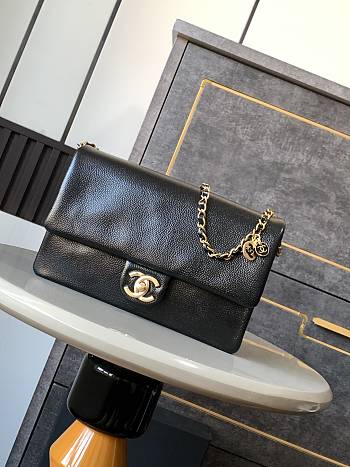 Chanel CF Caviar Gold Coin Black Size 22 x 13 x 7 cm