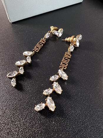 Dior Earrings 14