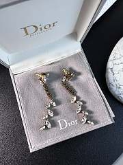 Dior Earrings 14 - 5