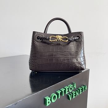 Bottega Veneta Andiamo Crocodile Brown Bag Size 22 x 9 x 15.5 cm