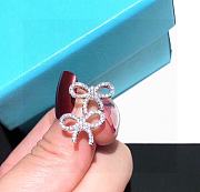 Tiffany Earrings 02 - 4