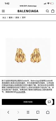 Balenciaga New Earrings - 4